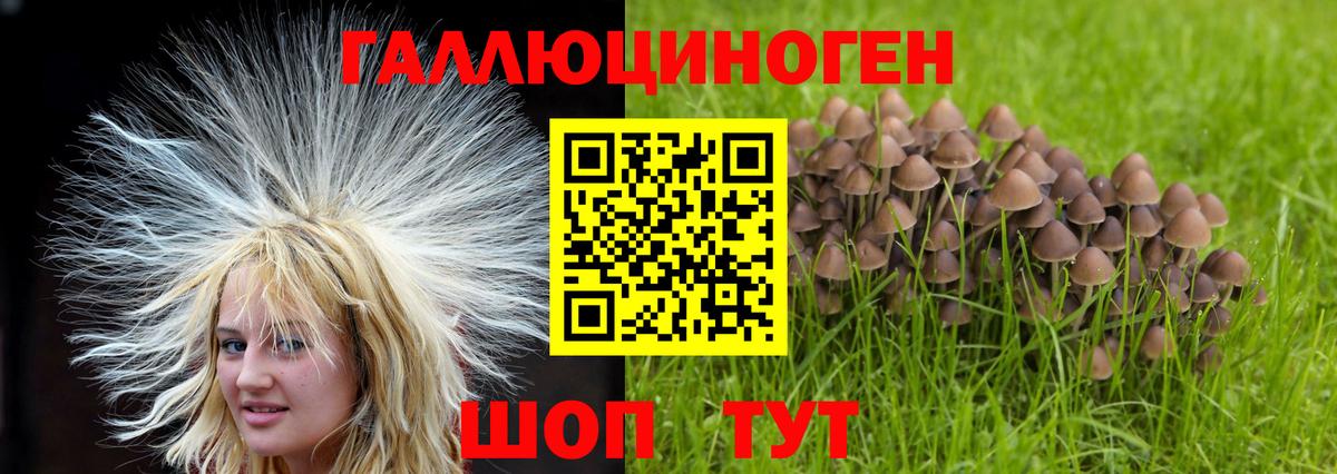 Галлюциногенные грибы MAGIC MUSHROOMS  Вход с VPN  Псилоцибиновые грибы MAGIC MUSHROOMS  Гурьевск 